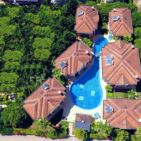 The Wind Sycamore Holiday Villas In 베렉 외부 사진