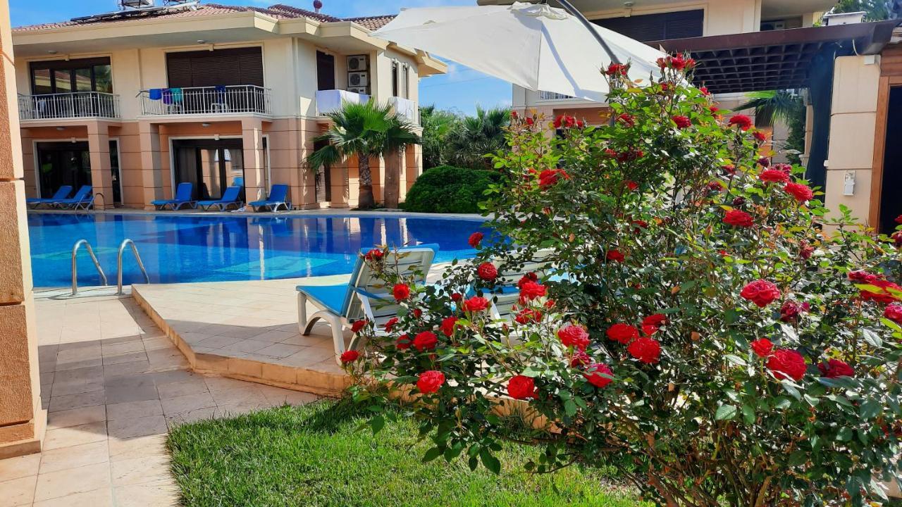 The Wind Sycamore Holiday Villas In 베렉 외부 사진