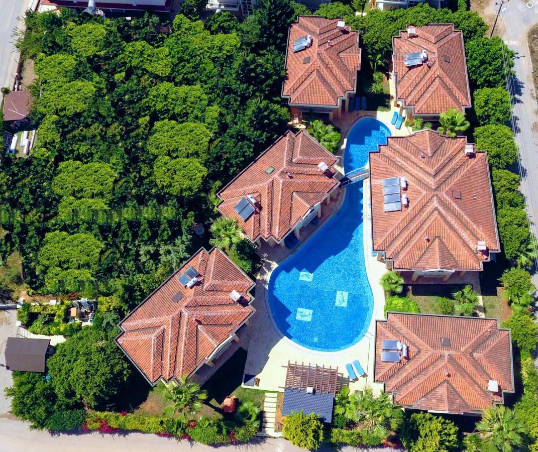 The Wind Sycamore Holiday Villas In 베렉 외부 사진